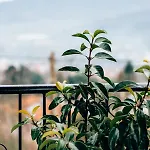 ευτυχια-6 Appartamento