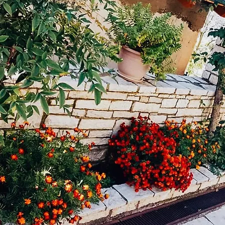 ευτυχια-6 Kalavryta