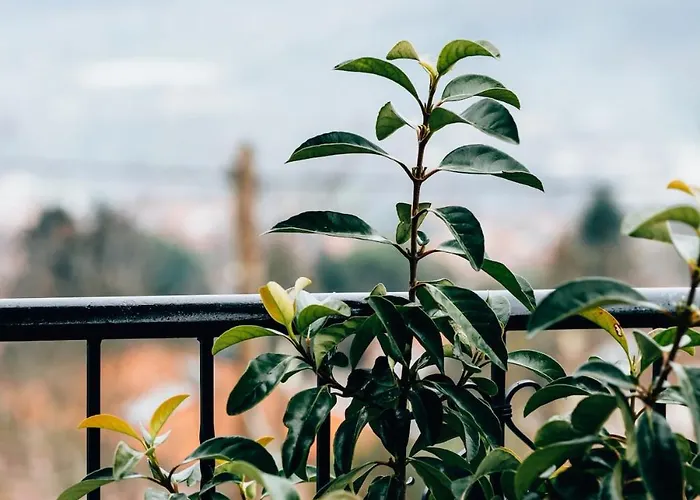 Studios Ευτυχια-6 Appartamento