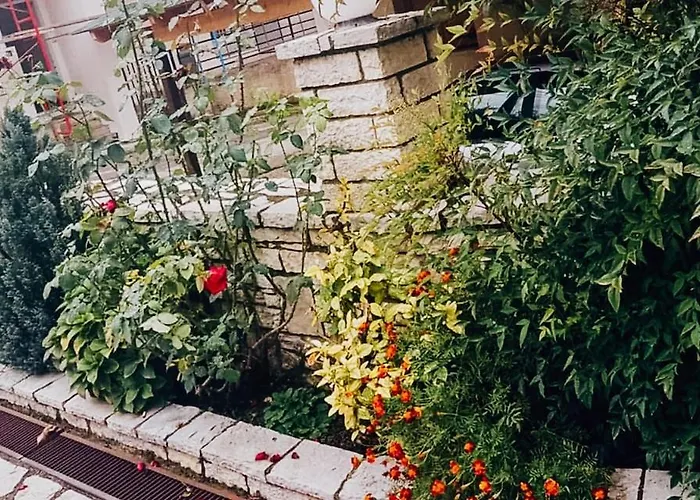 Studios Ευτυχια-6 Kalavryta