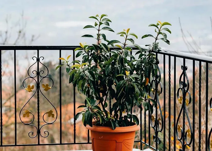 Studios Ευτυχια-6 Appartamento